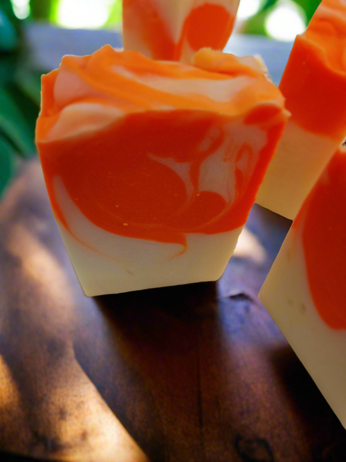 Orange you glad shampoo bar